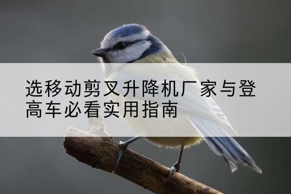 牡丹江电动升降机厂家-选移动剪叉升降机厂家与登高车必看实用指南