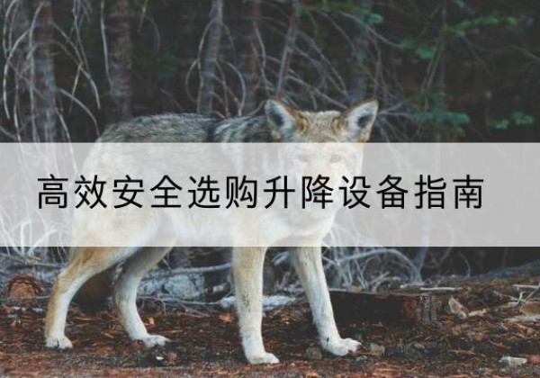 牡丹江升降货梯厂家推荐-*安全选购升降设备指南